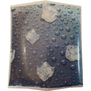 Flaschenkühler Eiswürfel